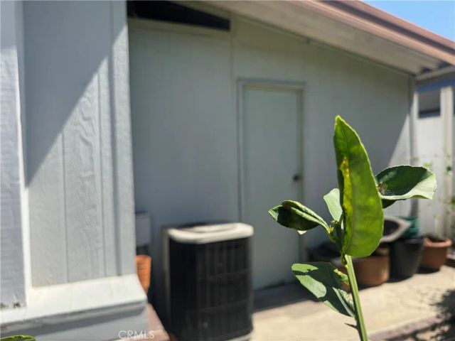 1919 Coronet 218, Anaheim, CA 92801