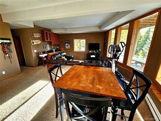 1678 Cr-14a, Fairplay, CO 80440