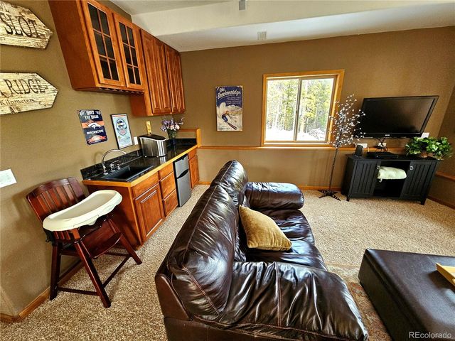 1678 Cr-14a, Fairplay, CO 80440