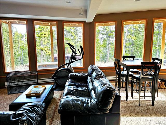 1678 Cr-14a, Fairplay, CO 80440