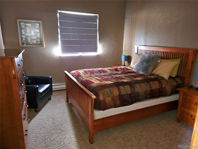 1678 Cr-14a, Fairplay, CO 80440