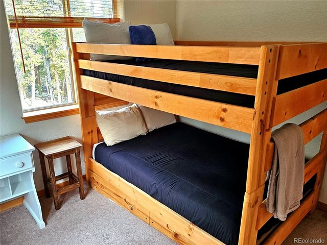 1678 Cr-14a, Fairplay, CO 80440