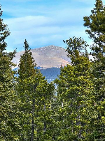 1678 Cr-14a, Fairplay, CO 80440