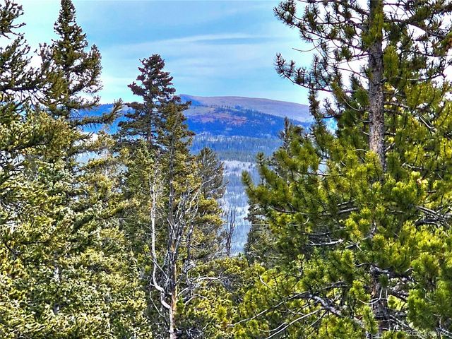 1678 Cr-14a, Fairplay, CO 80440