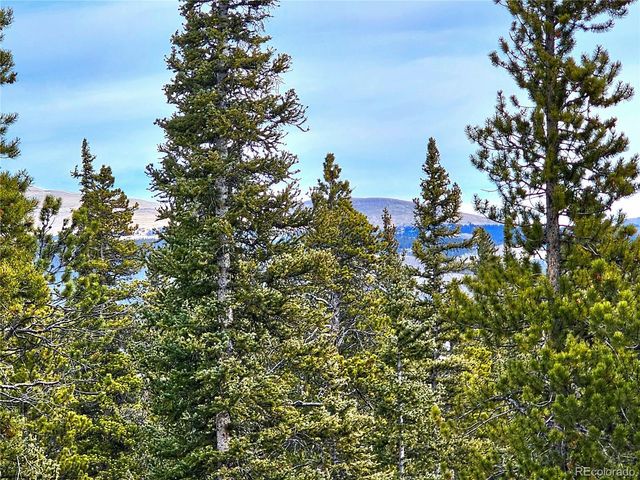 1678 Cr-14a, Fairplay, CO 80440