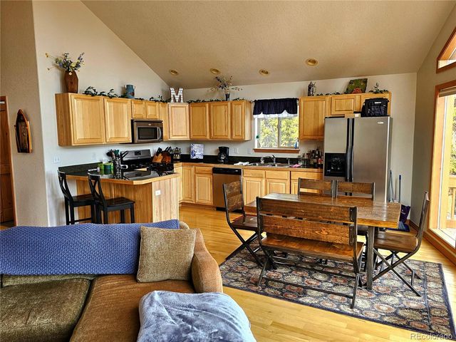 1678 Cr-14a, Fairplay, CO 80440