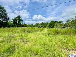 TBD Nessey Ct, Marion, SC 29571