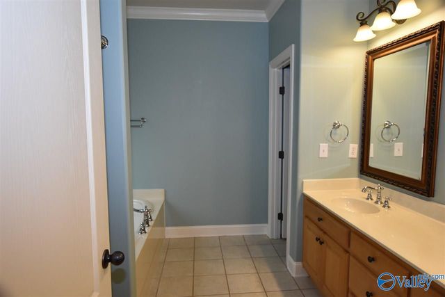 119 Averbeck Court, Madison, AL 35758