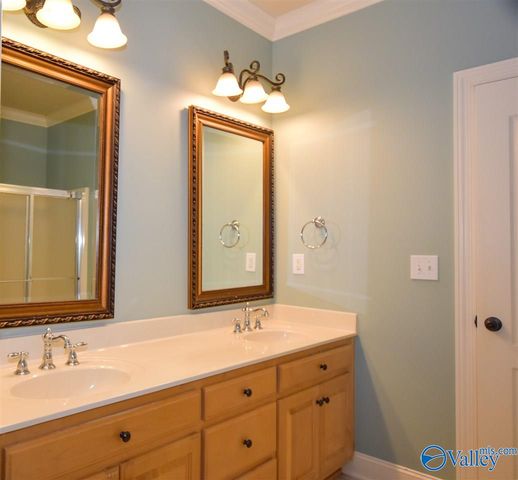 119 Averbeck Court, Madison, AL 35758