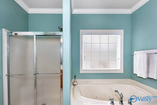 119 Averbeck Court, Madison, AL 35758