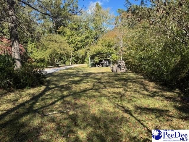 1319 Fourteenth Street, Hartsville, SC 29550