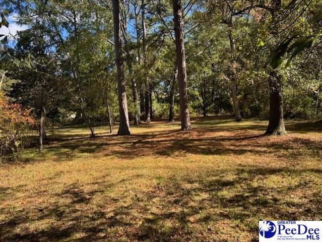 1319 Fourteenth Street, Hartsville, SC 29550