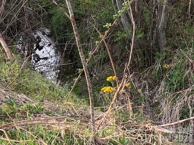 7.33AC COM CHIMNEY ROCK Highway 1,2,3, Edneyville, NC 28792