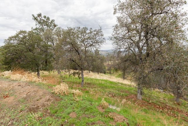 41508 Roaring River Court, Coarsegold, CA 93614