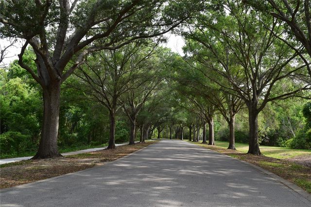 6534 WAYNE STREET, St Petersburg, FL 33702