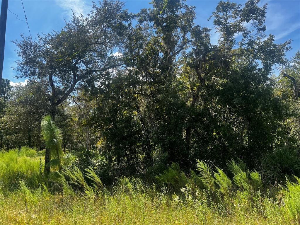 0 CRIDER ROAD, Weeki Wachee, FL 34614