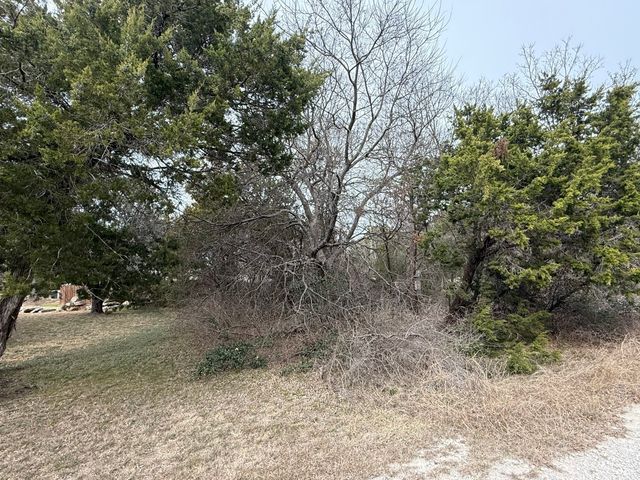 2208 Sabine Street, Granbury, TX 76048