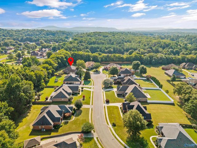128 Pearle Cove Drive, Huntsville, AL 35806