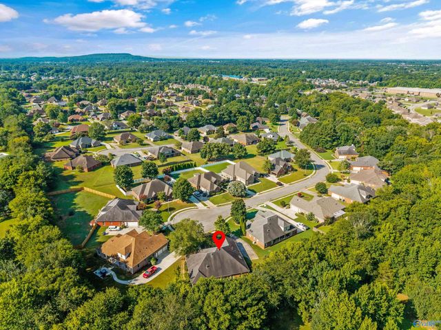 128 Pearle Cove Drive, Huntsville, AL 35806