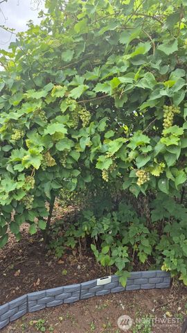 2323 Olympia Avenue NE, Olympia, WA 98506