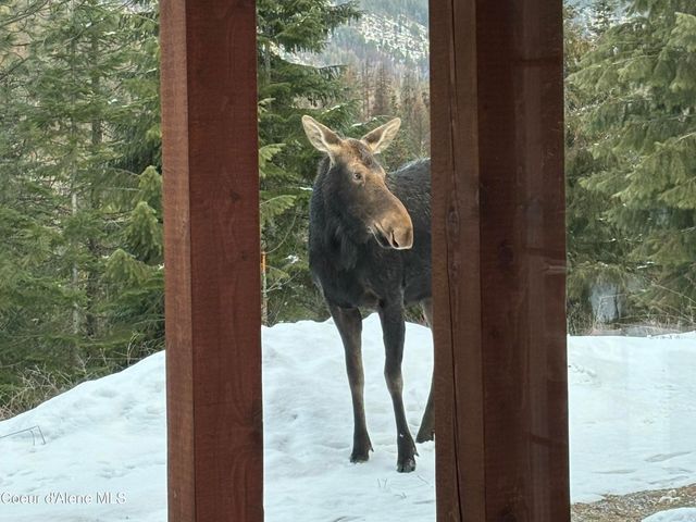 778 B ST, Sandpoint, ID 83864