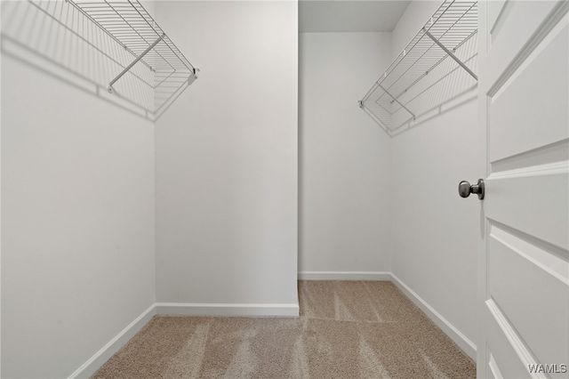 2253 Stone, Tuscaloosa, AL 35405