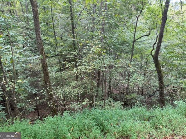 0 Chancel Circle, Ellijay, GA 30540