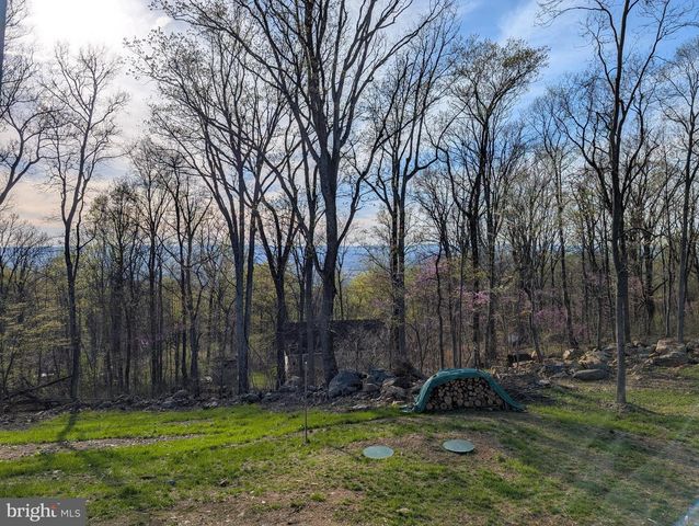 1099 HIGH TOP RD, Linden, VA 22642