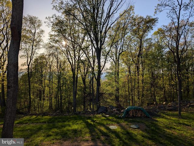 1099 HIGH TOP RD, Linden, VA 22642