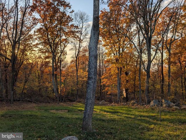 1099 HIGH TOP RD, Linden, VA 22642