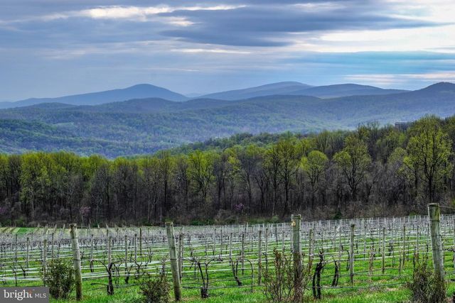 1099 HIGH TOP RD, Linden, VA 22642