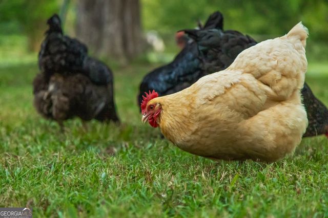 657 Brock Road, Chickamauga, GA 30707