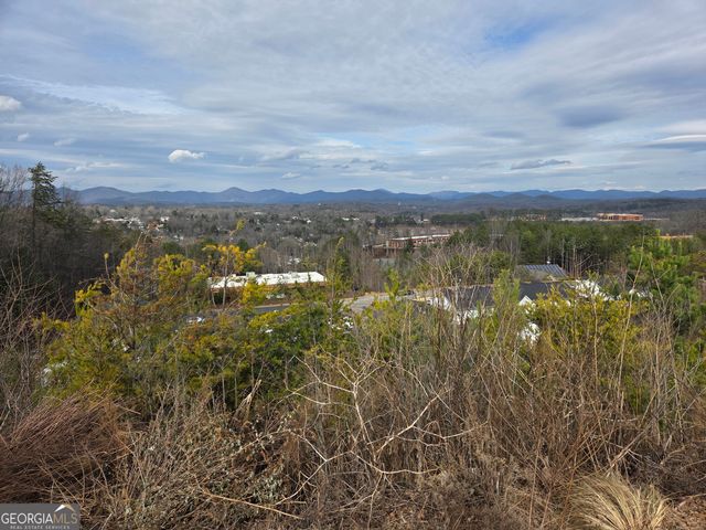 LOTS Village Drive, Dahlonega, GA 30533