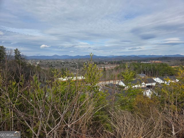 LOTS Village Drive, Dahlonega, GA 30533