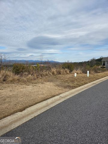 LOTS Village Drive, Dahlonega, GA 30533
