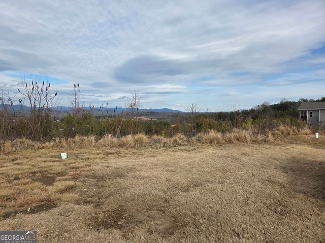 LOTS Village Drive, Dahlonega, GA 30533