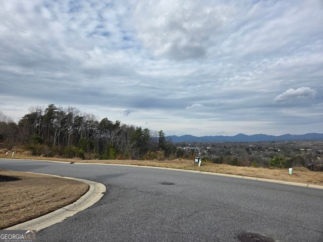 LOTS Village Drive, Dahlonega, GA 30533