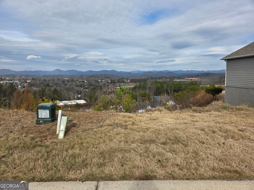 LOTS Village Drive, Dahlonega, GA 30533