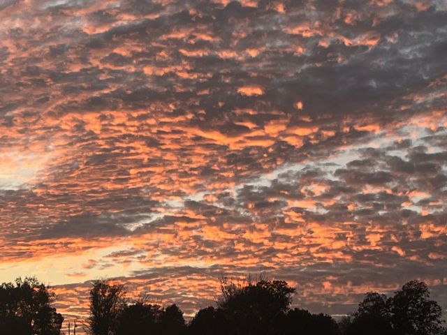 1761 Jameson Dr, Franklin, TN 37064