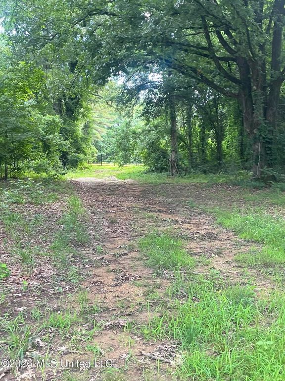 Longtown Road, Sarah, MS 38665 — exterior