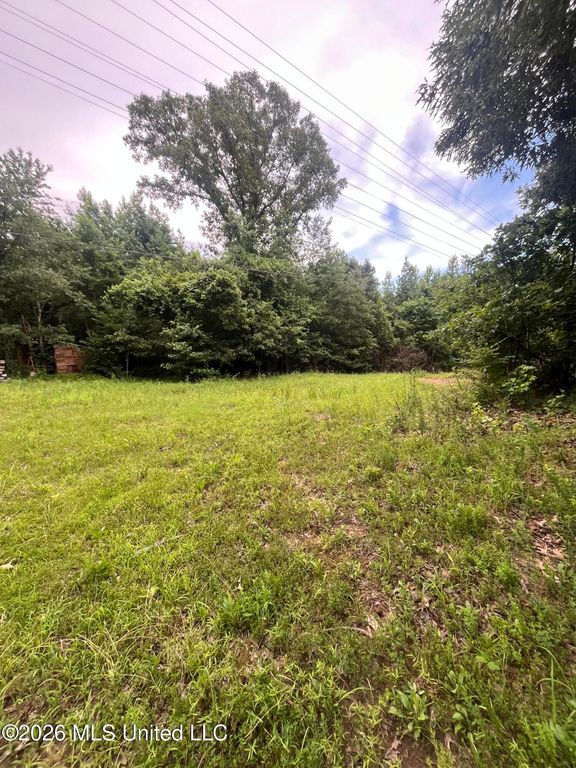 Longtown Road, Sarah, MS 38665 — photo 2