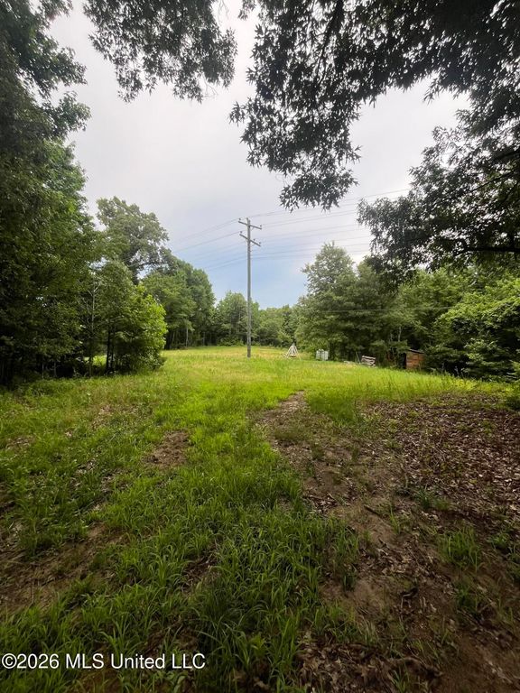 Longtown Road, Sarah, MS 38665 — photo 3