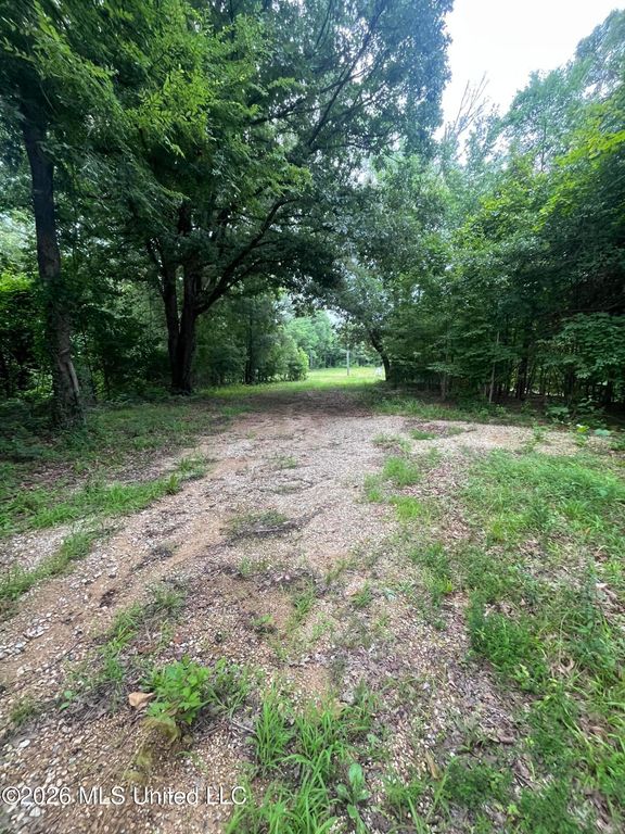 Longtown Road, Sarah, MS 38665 — photo 4
