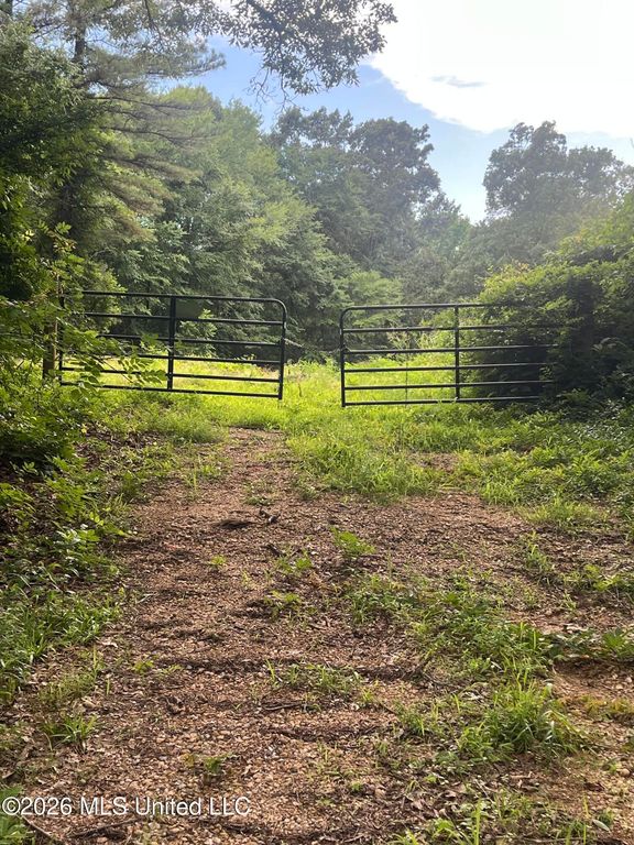 Longtown Road, Sarah, MS 38665 — photo 5