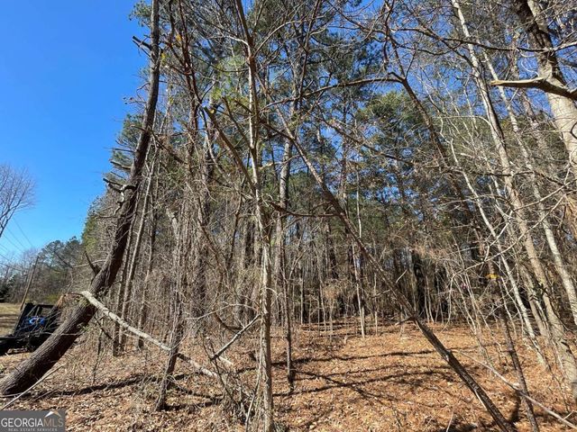 0 Brown Bridge Road, Covington, GA 30014