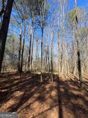 0 Brown Bridge Road, Covington, GA 30014