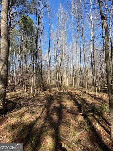 0 Brown Bridge Road, Covington, GA 30014