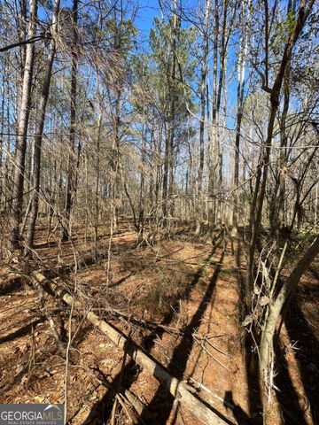 0 Brown Bridge Road, Covington, GA 30014