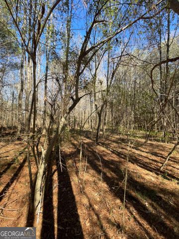 0 Brown Bridge Road, Covington, GA 30014