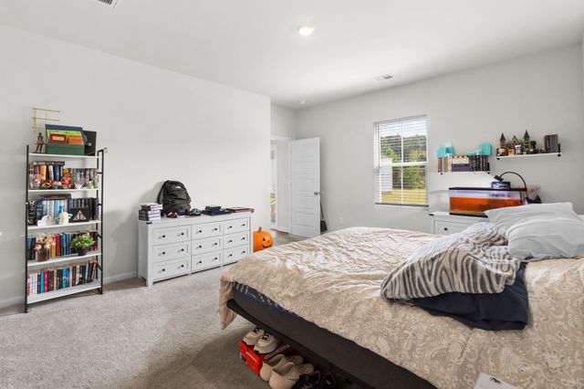 546 Appaloosa Way, Conway, SC 29527